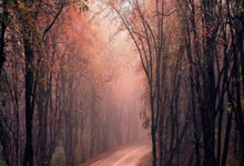 41岁零323天!隋维杰超越郑智,成为中国顶级联赛最年长出场球员.