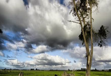 [亚冬会]短道速滑男子1000米决赛.