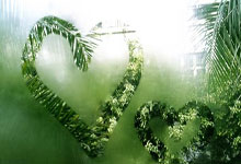 英足總官方:曼聯對陣富勒姆時球員圍堵裁判罰款6.5萬鎊!.